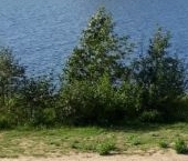 Продать Земельные участки, земля Заречное СНТ, улица Липецкая  219 