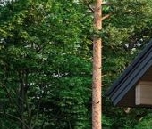 Продать Дачи, коттеджи, загородные дома пос. Ромашки, улица Полевая   