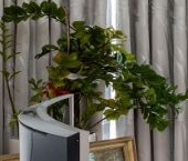 Сдать в аренду Квартиры вторичка Малая Пироговская улица, 8   