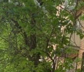 Продать Квартиры вторичка Большой Предтеченский переулок, 29С1   