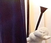 Продать Квартиры вторичка Южный мкр, улица Доктора Сотникова, 19   