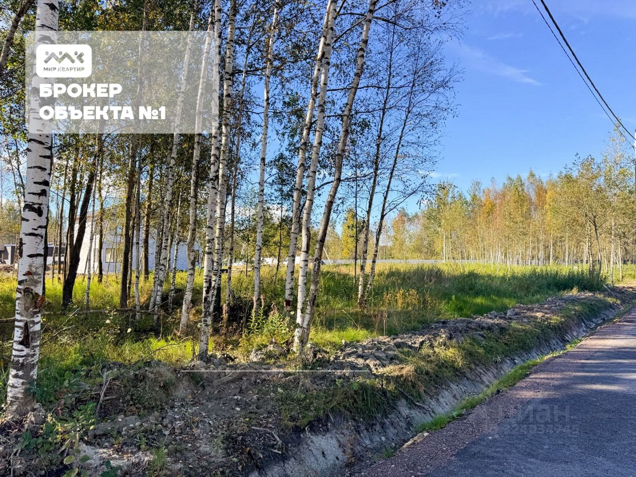 Продажа земли Павловск, Березовая улица