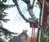 Продать Дачи, коттеджи, загородные дома Прогресс-1 СНТ, 292   