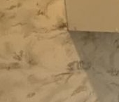 Продать Квартиры вторичка Пушкин, бульвар Алексея Толстого, 32   