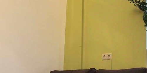 1-комн квартира Динамовская улица, 4