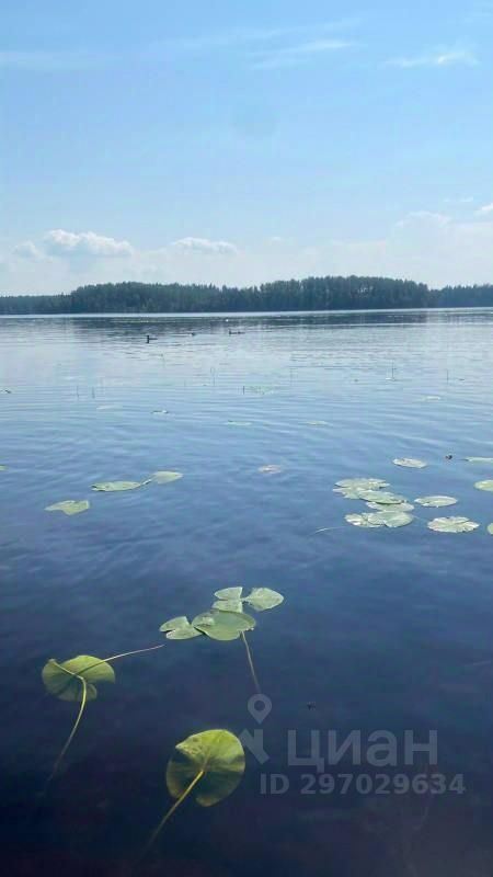 Продажа дома д. Шепелево, улица Озерная