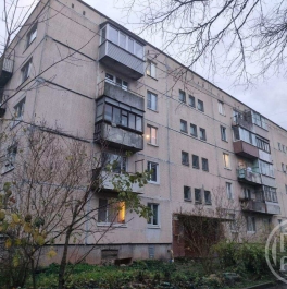 Продажа 1-комн квартиры на вторичном рынке Батово дер., д. 5 Продажа 1-комн квартиры на вторичном рынке Батово дер., д. 5