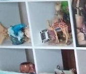 Продать Квартиры вторичка Красное Село, Нарвская улица, 12   