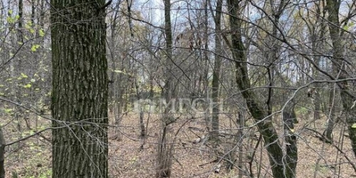 1-комн квартира улица Тёплый Стан,  д. 4