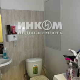 Продажа 1-комн квартиры на вторичном рынке Мисайлово д, Пригород Лесное мкр