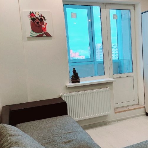 Студия пос. Шушары, переулок Вилеровский, 6