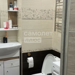 Продажа 1-комн квартиры на вторичном рынке Московский г, Бианки ул,  д. 13