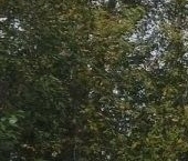 Продать Дачи, коттеджи, загородные дома Зеленогорск, улица Героев, 9   