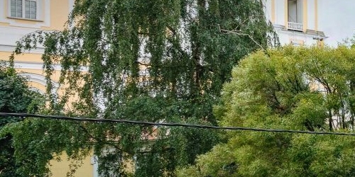 3-комн квартира улица Блохина, 25