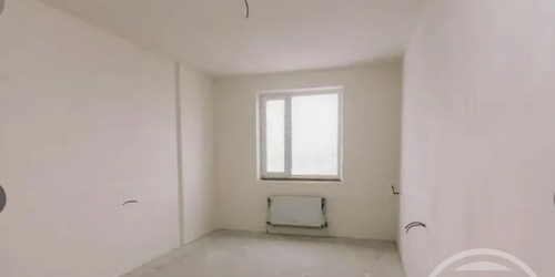 Студия Заневский просп.,  д. 65,  к. 2