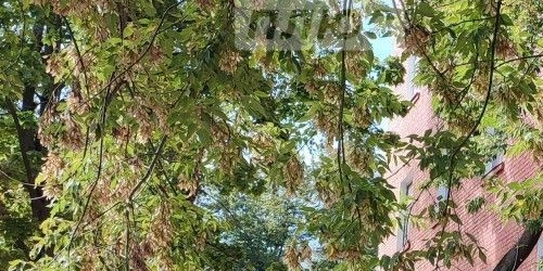 2-комн квартира Веселая улица, 4