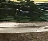 Продать Квартиры вторичка Комендантский проспект, 17к1   