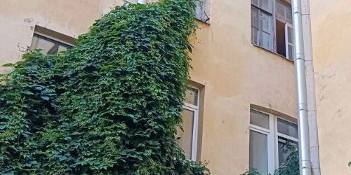 6-комн квартира Вознесенский проспект, 31