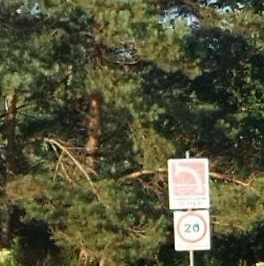 Продажа земли Гутлов Ручей СНТ, 1-я линия Продажа земли Гутлов Ручей СНТ, 1-я линия