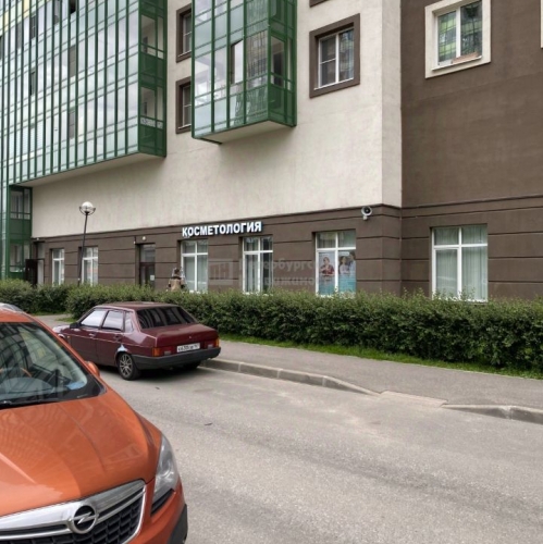 Торговое помещение Мурино г, Ручьевский пр-кт,  д. 9