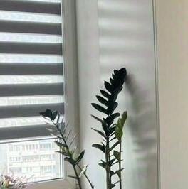 Продажа 3-комн квартиры на вторичном рынке улица Твардовского, 12к2