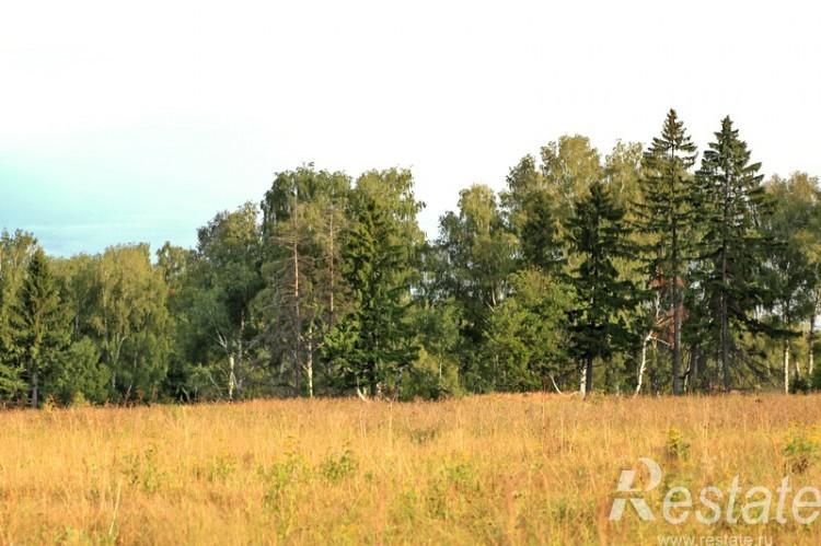 Продажа земли Липицы с