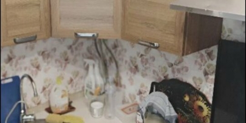 3-комн квартира Пушкин г, Алексея Толстого б-р,  д. 8