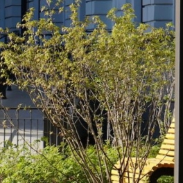 Продажа 1-комн квартиры на вторичном рынке ул Зеленогорская,  д. 3