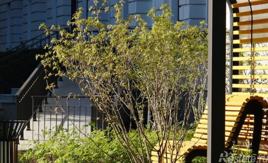 Продажа 1-комн квартиры на вторичном рынке ул Зеленогорская,  д. 3