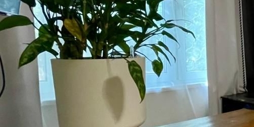 2-комн квартира улица Константина Царева, 18