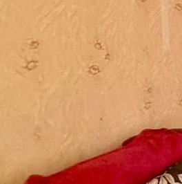 Продажа 3-комн квартиры на вторичном рынке Бескудниковский бульвар, 36К1