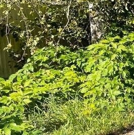 Продажа дома Здоровье-1 СНТ, улица Лесная, д. 32 Продажа дома Здоровье-1 СНТ, улица Лесная, д. 32