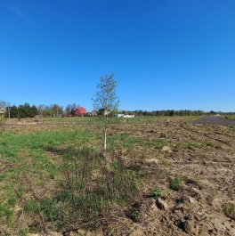 Продажа земли деревня Крюково, деревня Крюково