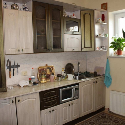 Коттедж/дом Пеники дер., Центральная ул. ,  д. 2