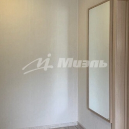 Продажа 1-комн квартиры на вторичном рынке Парковая 3-я ул,  д. 63