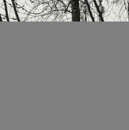 Продажа 1-комн квартиры на вторичном рынке ул Большое Понизовье,  д. 3