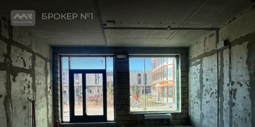 Помещение свободного назначения Заневский пр-кт,  д. 65