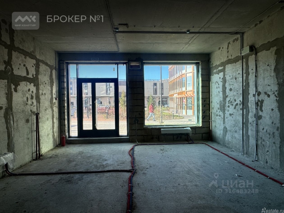 Аренда ПСН Заневский пр-кт,  д. 65