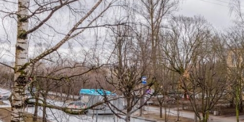 2-комн квартира Пушкин, Оранжерейная улица, 67/31