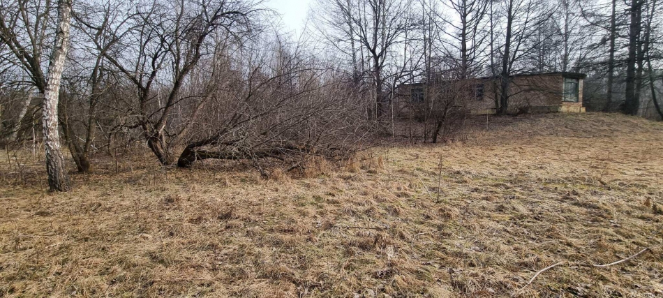 Продажа отдельного здания деревня Берхино, базы отдыха Лесные дали территория