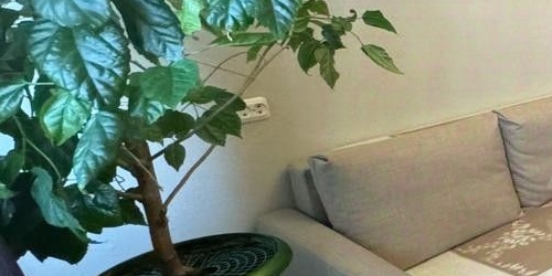 2-комн квартира Будапештская улица, 66К1