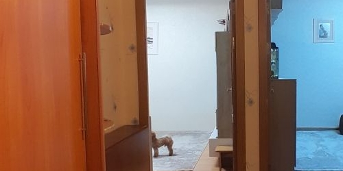 2-комн квартира проезд Черепановых, 38к1