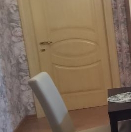 Аренда 1-комн квартиры на вторичном рынке Каменноостровский проспект, 40а Аренда 1-комн квартиры на вторичном рынке Каменноостровский проспект, 40а