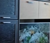 Сдать в аренду Квартиры вторичка улица Маршала Говорова, 14   