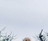 Продать Квартиры вторичка улица Беринга, 27к6   