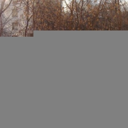 Аренда 1-комн квартиры на вторичном рынке Карачаровская 3-я ул