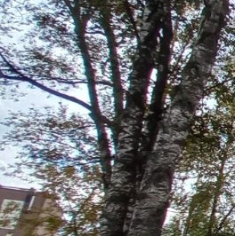 Продажа 3-комн квартиры на вторичном рынке Лесной Городок пгт, улица Фасадная, 1