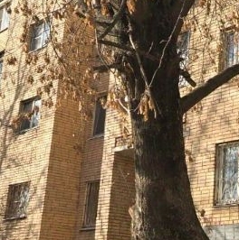 Продажа 1-комн квартиры на вторичном рынке Клин, Литейная улица, 6/17 Продажа 1-комн квартиры на вторичном рынке Клин, Литейная улица, 6/17