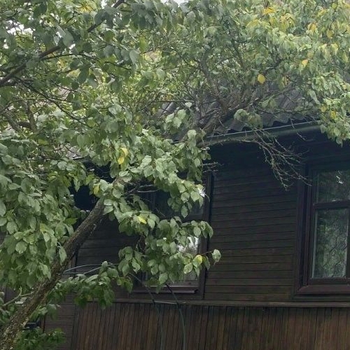 Коттедж/дом Приладожское СНТ, 525