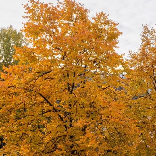 2-комн квартира Учебный переулок, 12К2